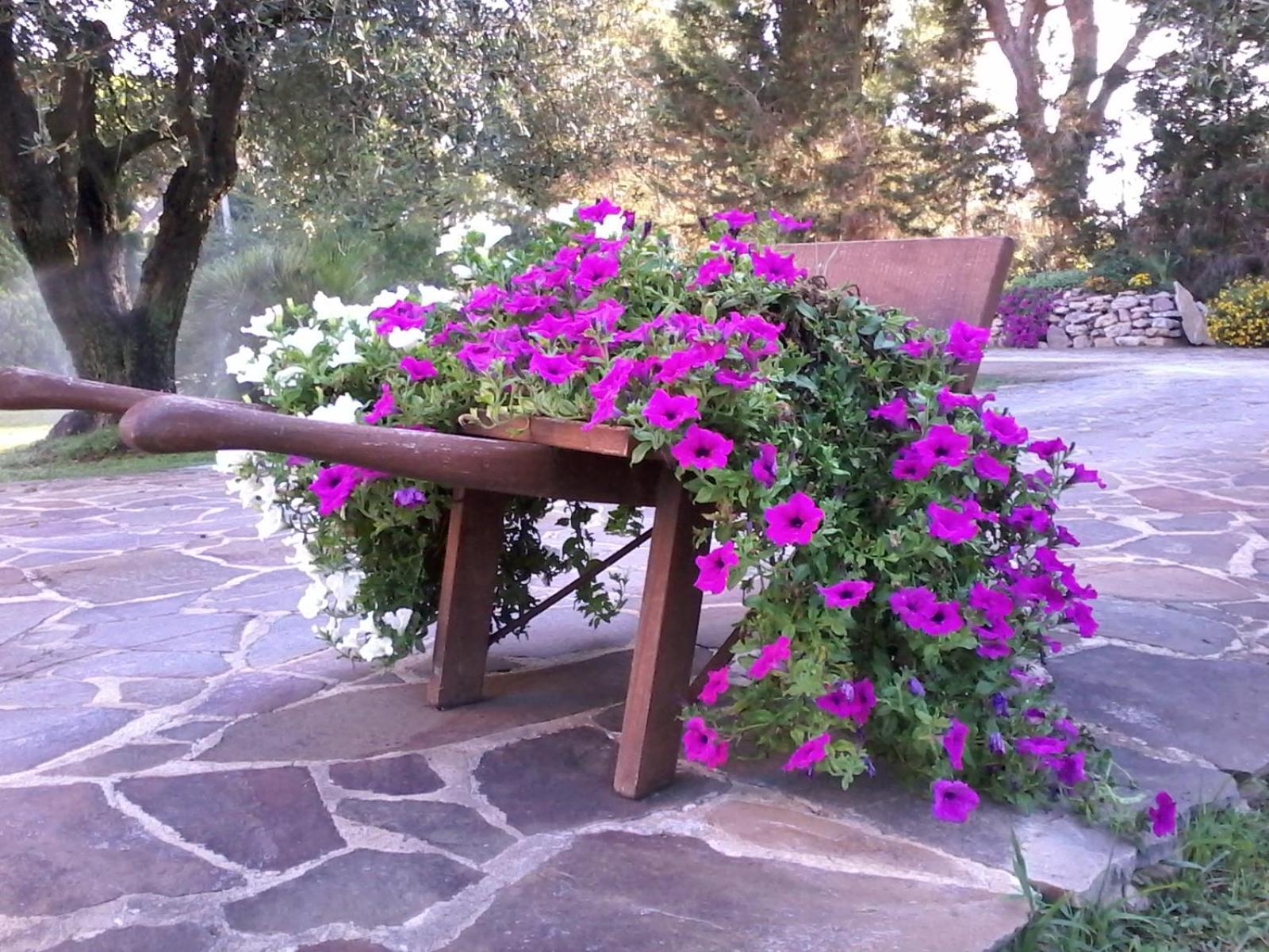Nuraghe Bianco Bed & Breakfast Santa Maria la Palma Exterior foto